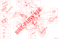 FAISCEAU ELECTRIQUE pour Ducati HYPERMOTARD 950 SP 2023