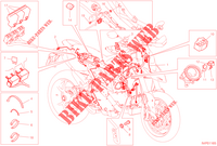 FAISCEAU ELECTRIQUE pour Ducati HYPERMOTARD 950 RVE 2023