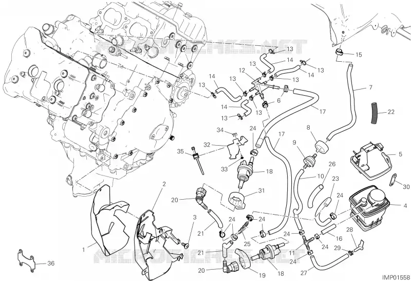 EVAPORATIVE EMISSION SYSTEM (EVAP) Ducati Moto Streetfighter 2024 Streetfighter V4  Streetfighter V4