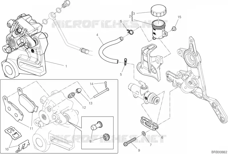 SYSTÈME DE FREIN ARRIERE Ducati Moto Hypermotard 2024 Hypermotard 698 Mono  Hypermotard 698 Mono