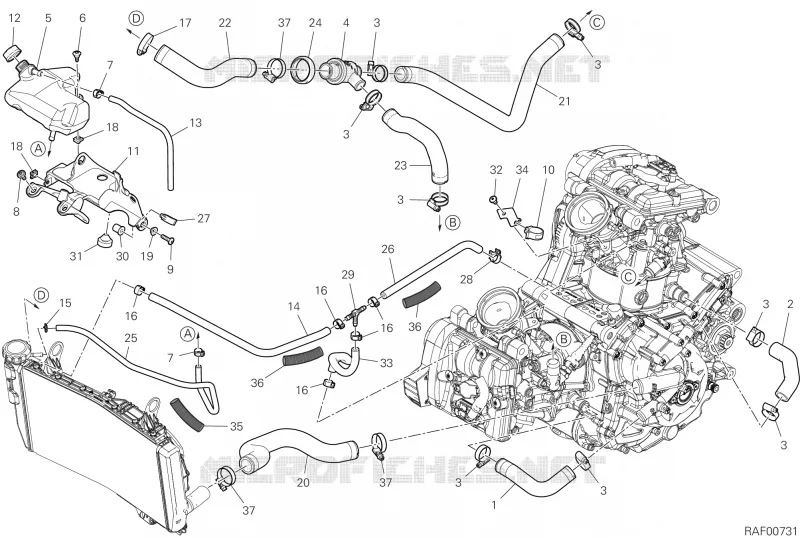 CIRCUIT DE REFROIDISSEMENT Ducati Moto Monster 2025 Monster Senna  Monster Senna