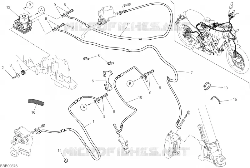 SYSTÈME D'ANTIBLOCAGE DES FREINS (ABS) Ducati Moto Scrambler 2025 Scrambler 800 Icon Dark Next-Gen  Scrambler 800 Icon Dark Next-Gen