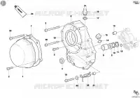 CARTER EMBRAYAGE pour Ducati Monster S4 Fogarty 2002