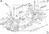 CARTER MOTEUR pour Ducati Monster S4 Fogarty 2002