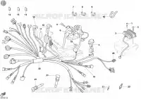FAISCEAU ELECTRIQUE pour Ducati Monster S4 Fogarty 2002