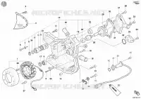 POMPE A EAU   COUVERCLE D'ALTERNATEUR pour Ducati Monster S4 Fogarty 2002