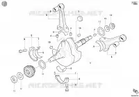 VILEBREQUIN pour Ducati Monster S4 Fogarty 2002