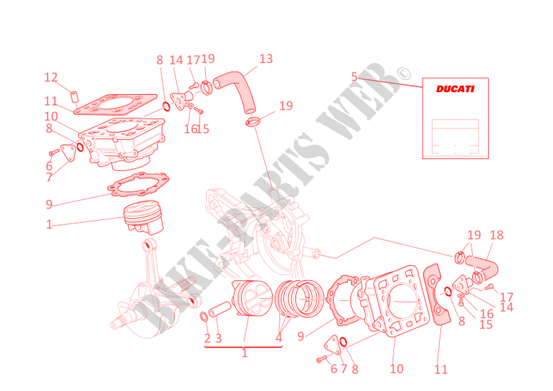CYLINDRES   PISTONS pour Ducati Monster S4 2002